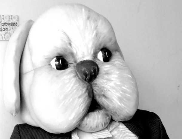 search results photo