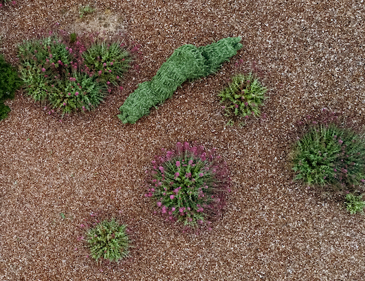 search results photo