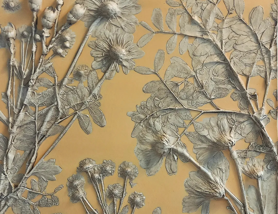 search results photo