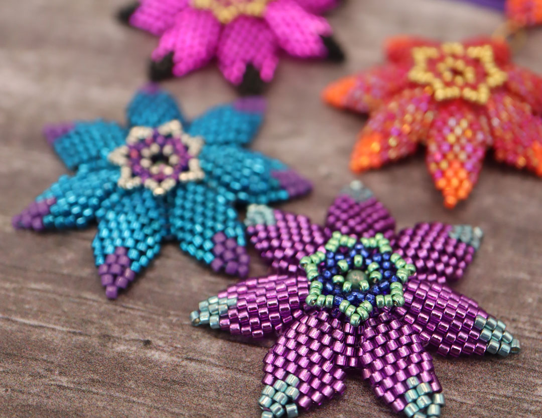 search results photo