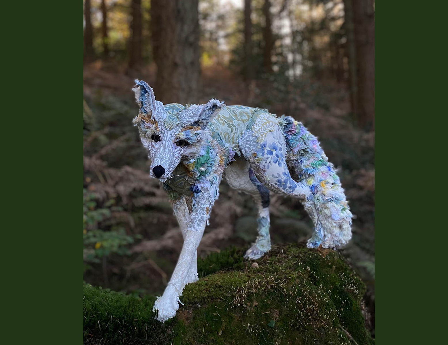 search results photo