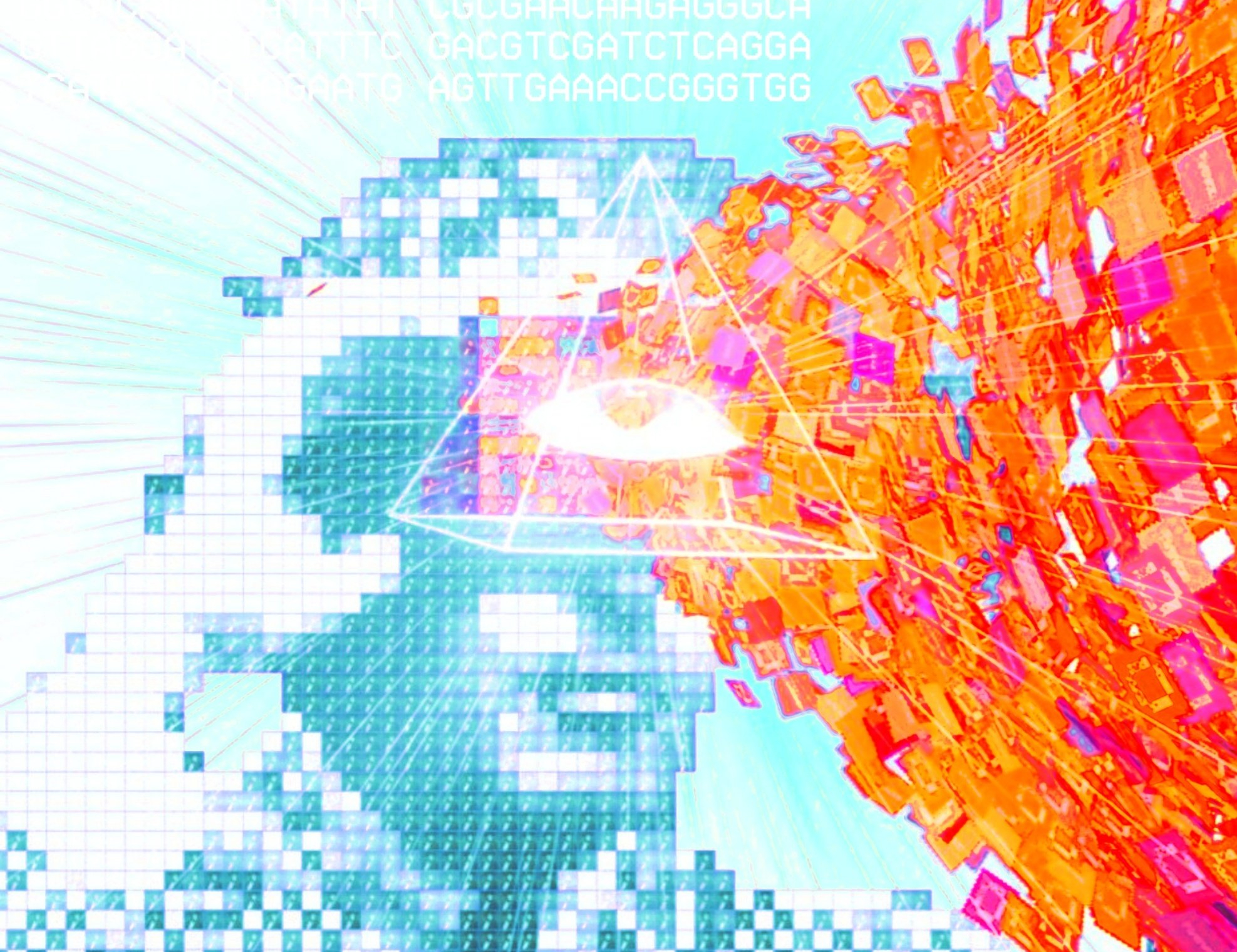 search results photo